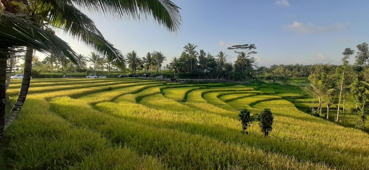 Peraja Bungalows Loyok Sangyang Luaran gambar